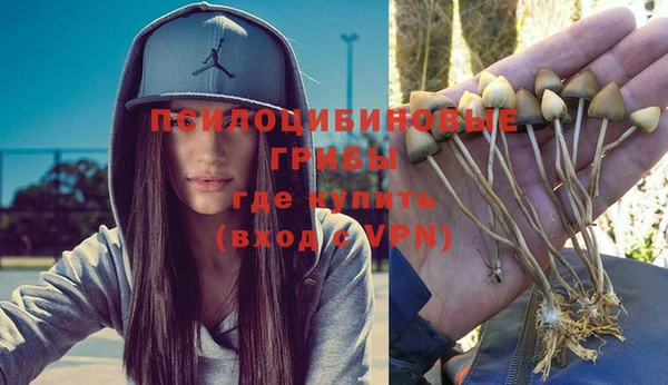 бутират Белокуриха
