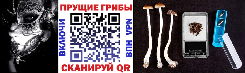 мориарти телеграм  Нерюнгри  Галлюциногенные грибы прущие грибы 